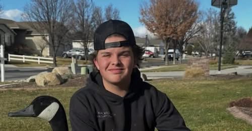 Xander Hover, Riverton, Obituary, Death: In Loving Memory of Xander Hover, Who Sadly Passed Away In a Rollover Crash